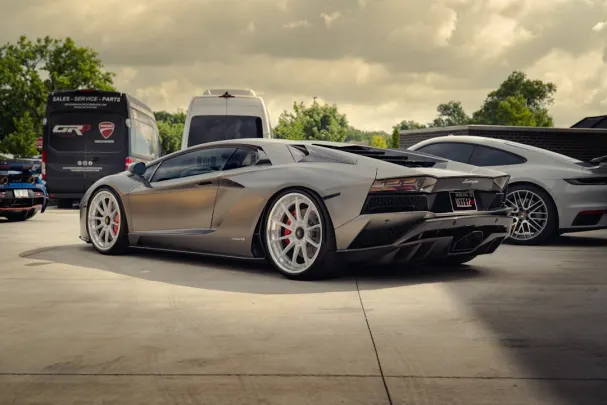 Dolly Casino Aplicación Android/iOS